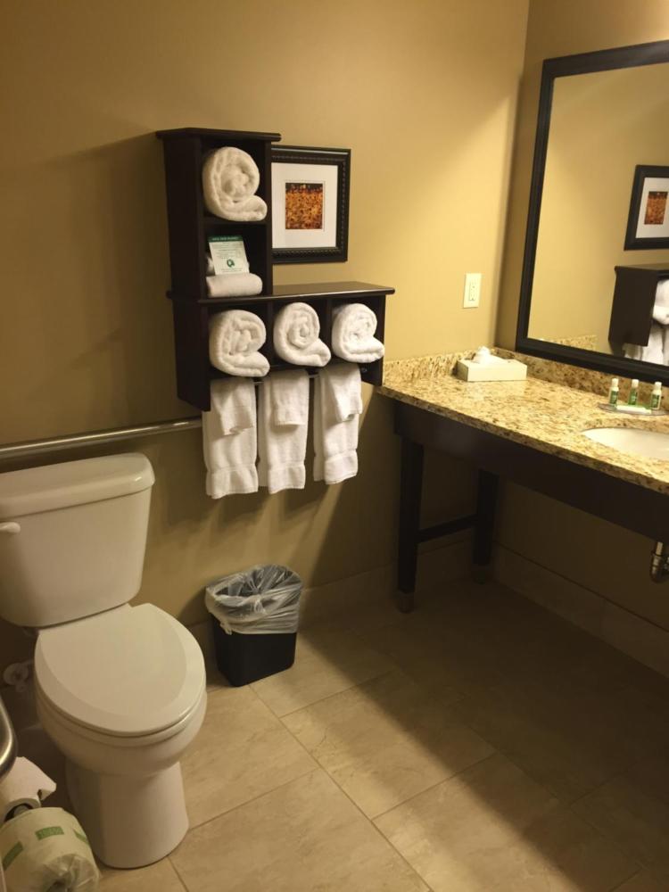 Deluxe King Suite interior